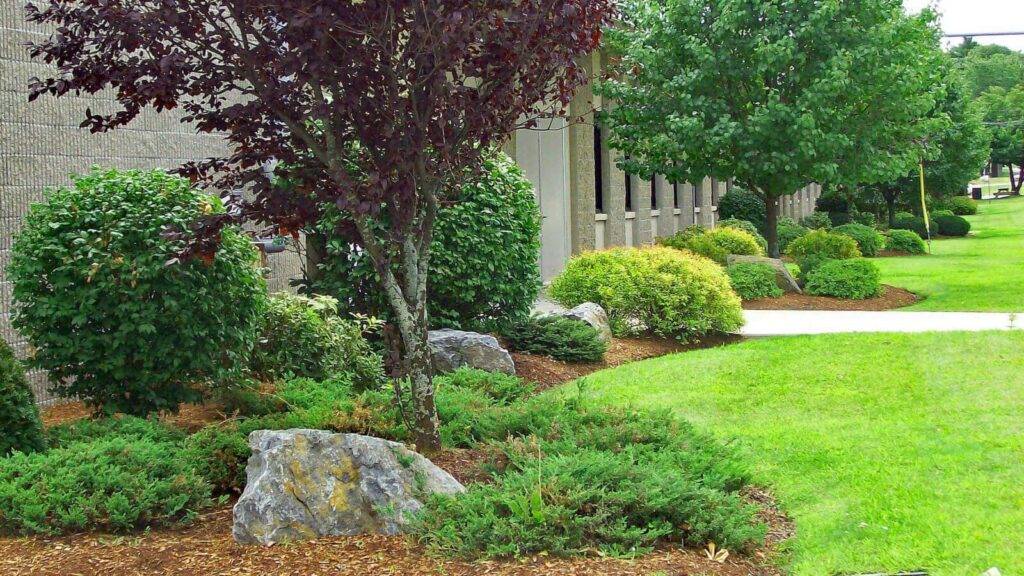 NH office building manicured front landscaping